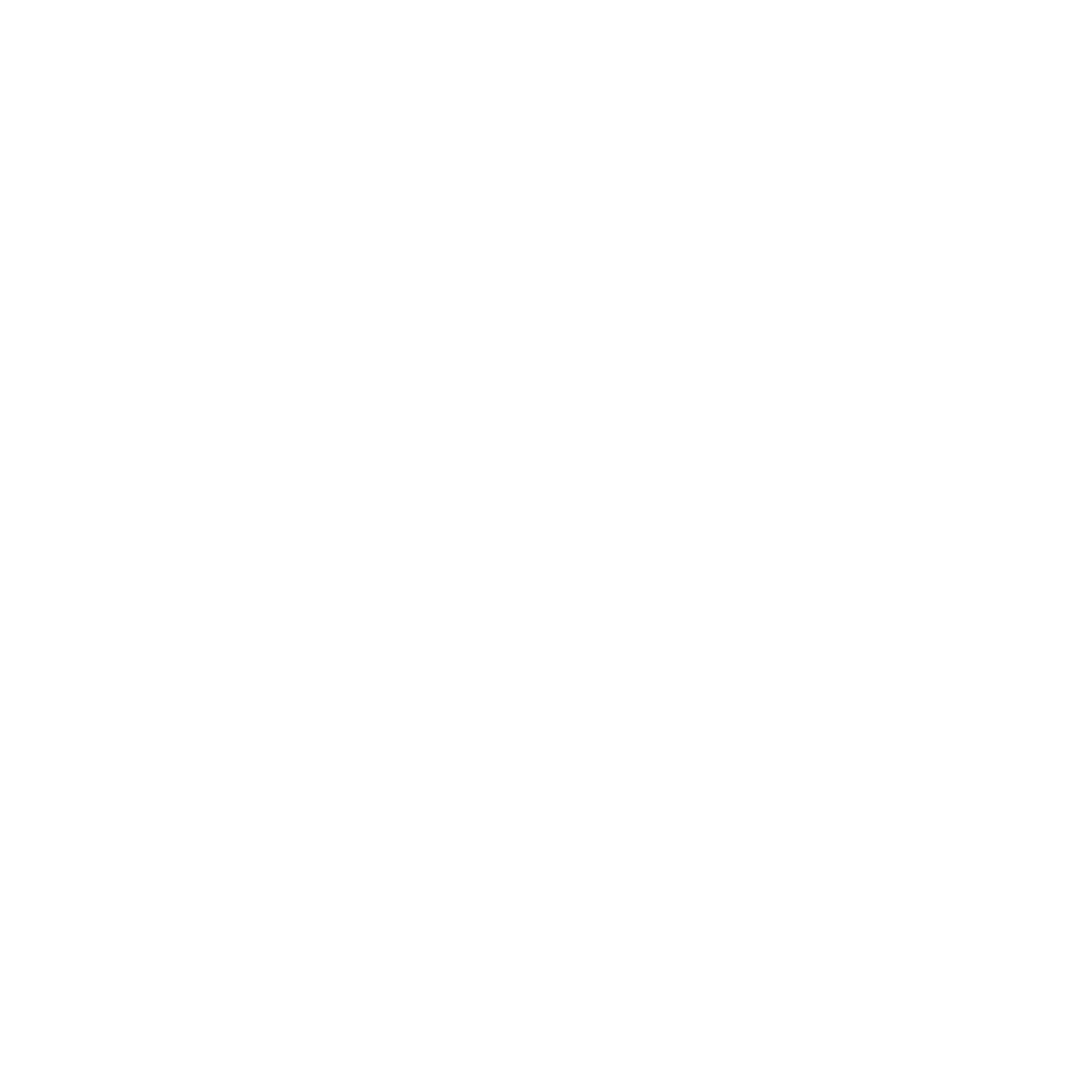 THE 80 MONKEYS