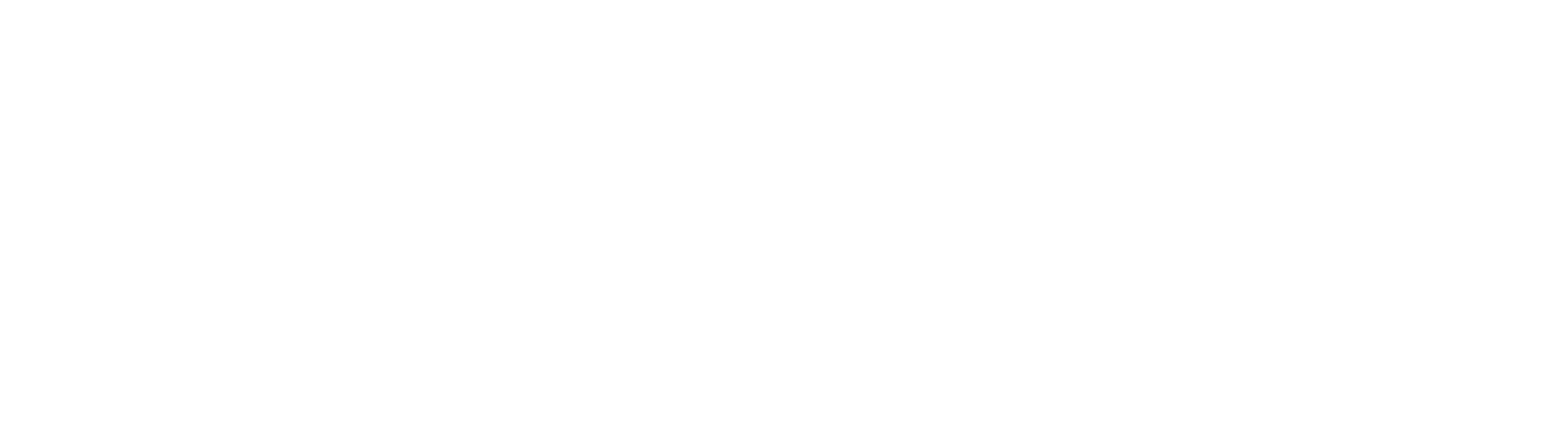 THE 80 MONKEYS